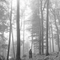 Folklore (2020)